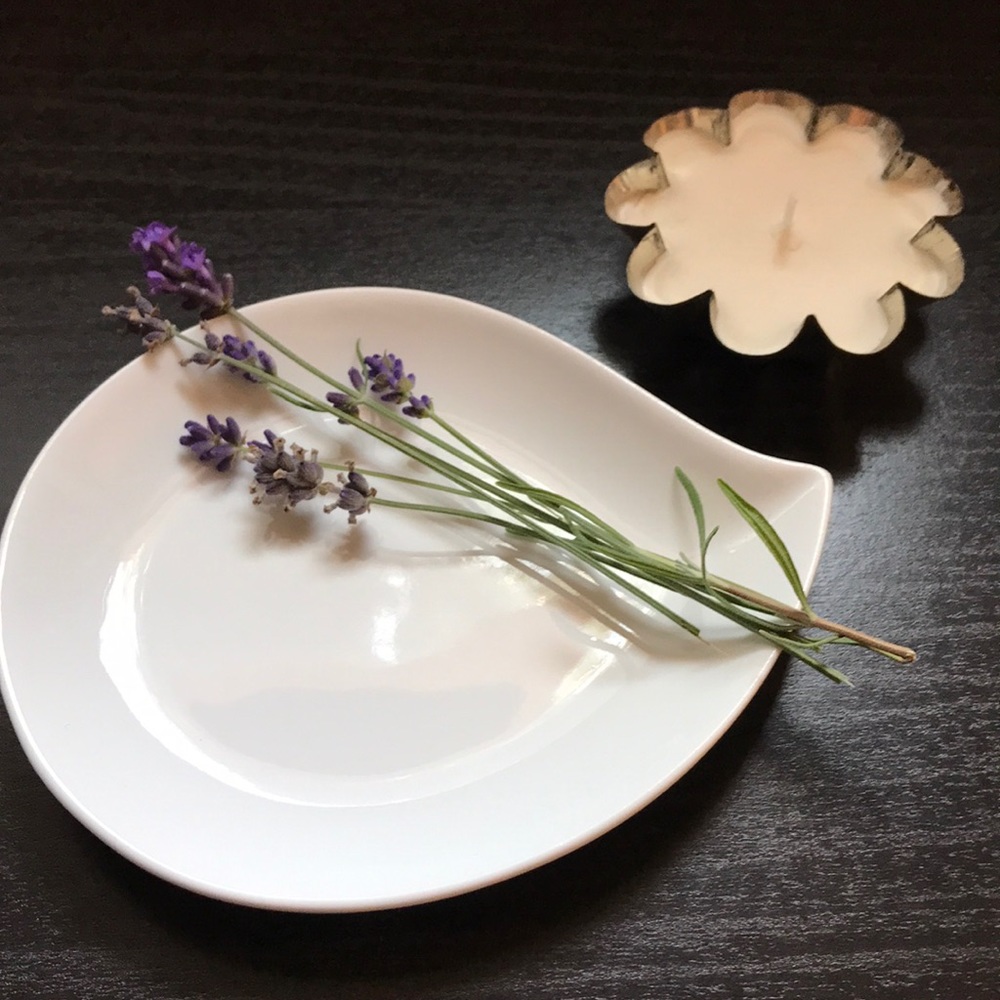 Appetizer plates set of 6